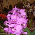 072