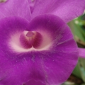 073