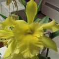 084