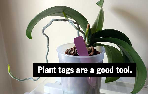 Plant tags are a good tool