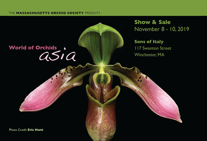 Massachusetts Orchid Society’s annual Orchid Show