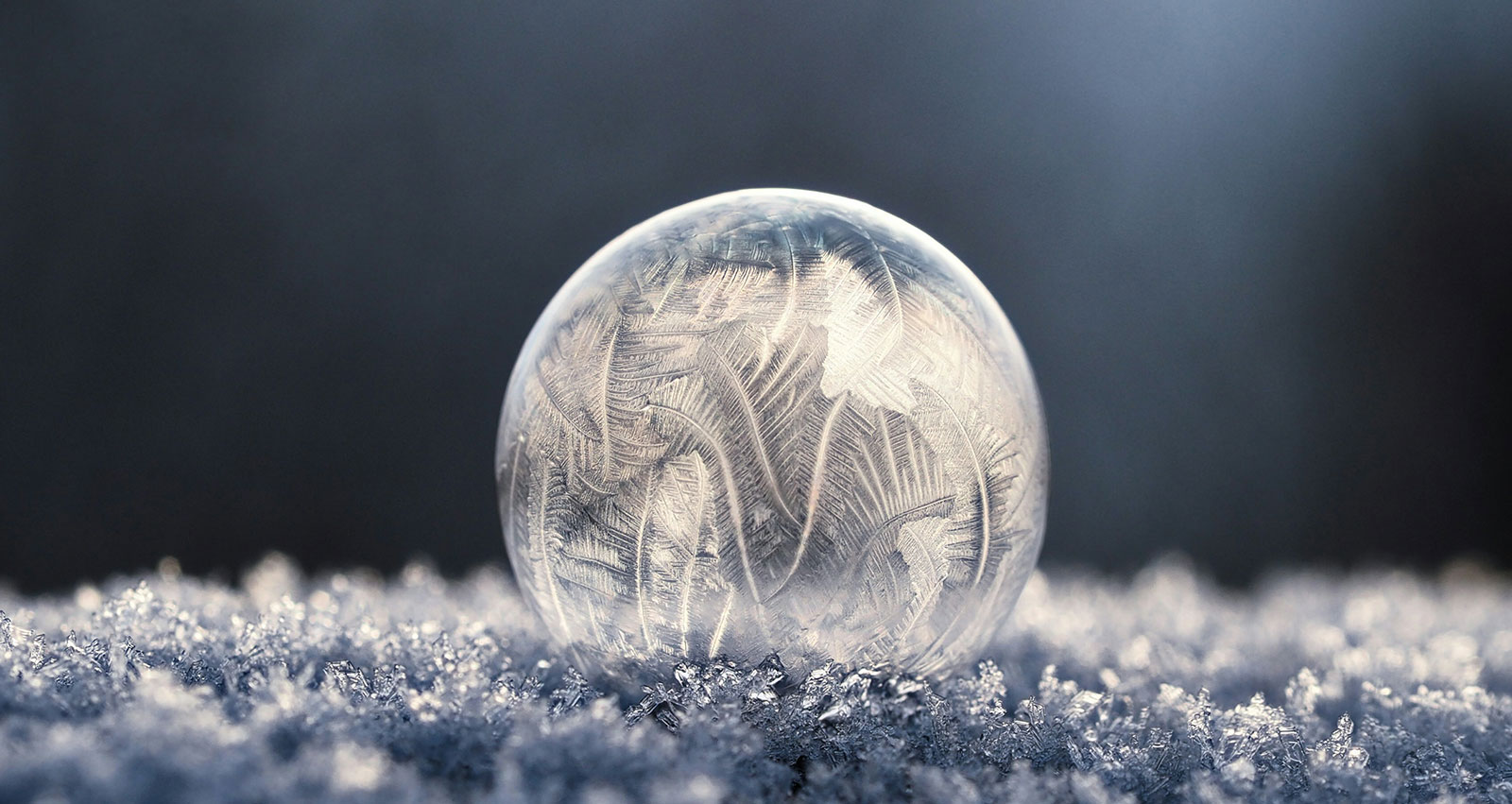 Frozen bubble