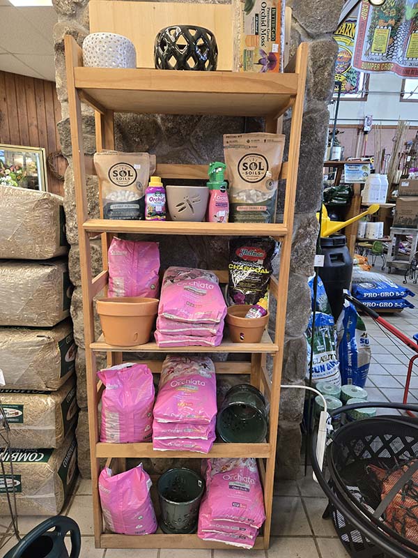 Skillins of Falmouth now has orchid supplies