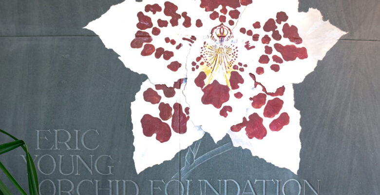 Eric Young Foundation