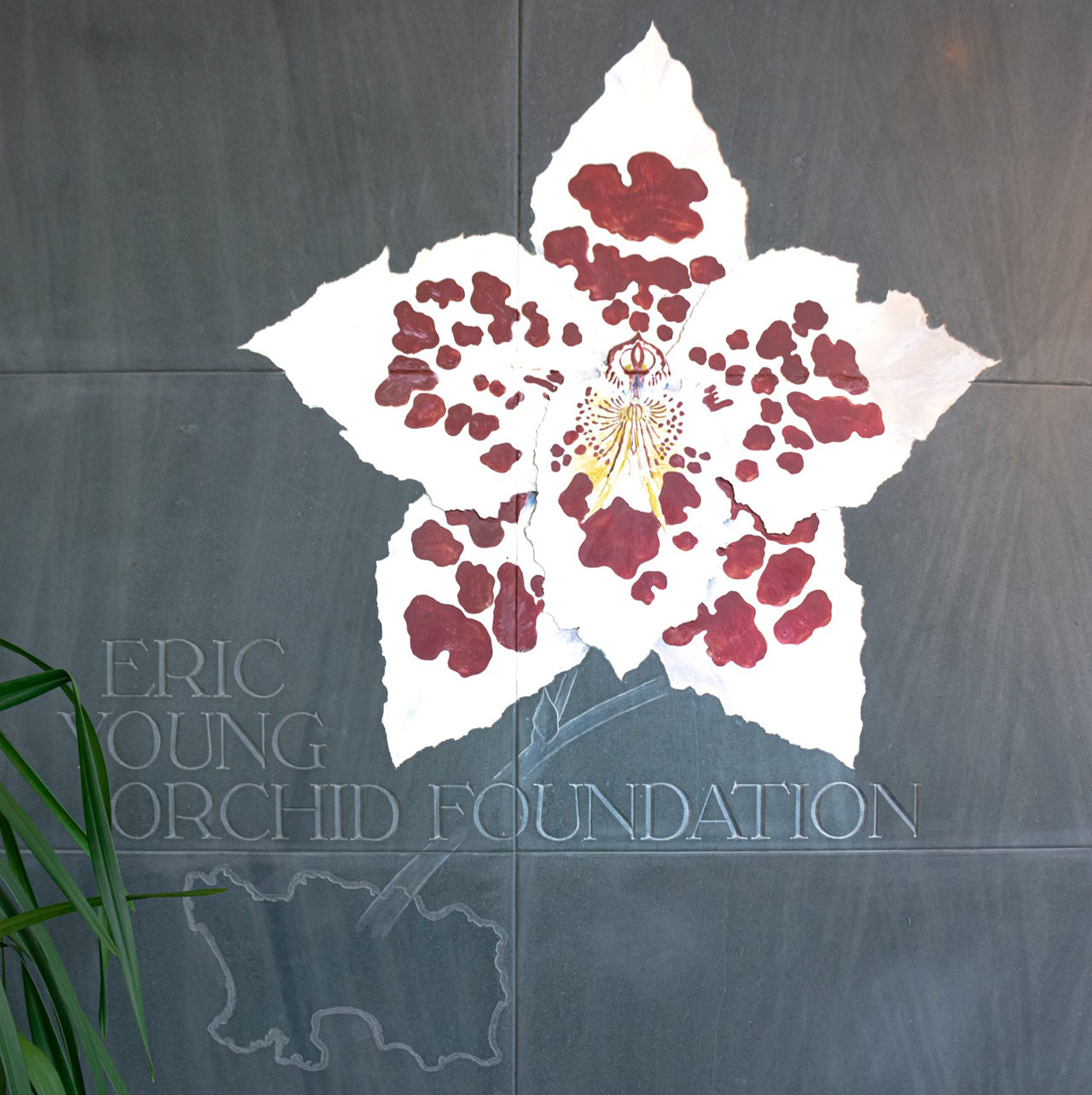 Eric Young Foundation